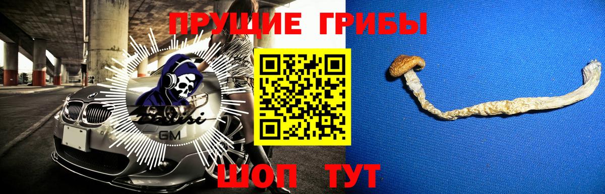 Галлюциногенные грибы Magic Shrooms  Псилоцибиновые грибы ЛСД  Дзержинский  Вход с VPN 